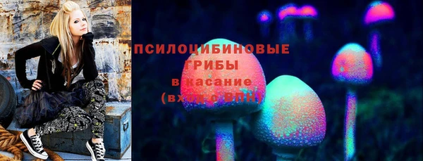 хмурый Нефтекумск