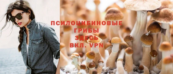 хмурый Среднеуральск