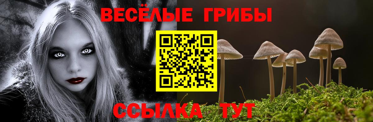 Псилоцибиновые грибы Psilocybe  Урай 