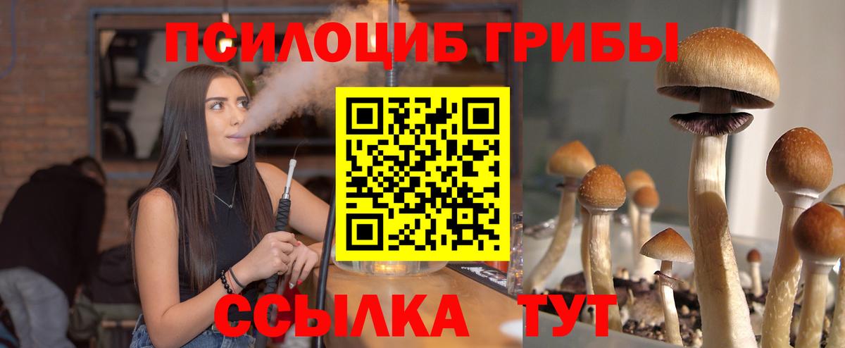 Псилоцибиновые грибы Magic Shrooms  Галлюциногенные грибы Magic Shrooms  Урай  Вход с VPN 