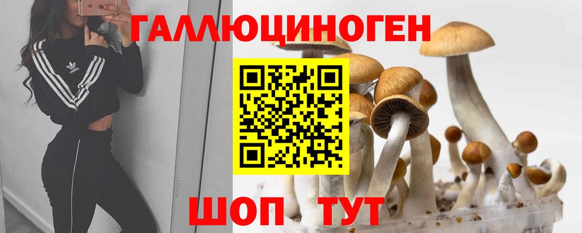 Псилоцибиновые грибы Psilocybine cubensis Урай
